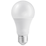 LED Light bulb 10W E27 A60 4000K 810lm AC/DC 12-60V THORGEON