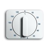 1771-24G-101 CoverPlates (partly incl. Insert) carat® Studio white