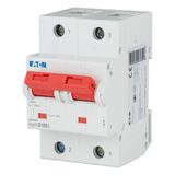 Miniature circuit breaker (MCB), 100A, 2p, D-Char, AC