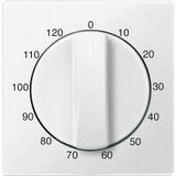 Central plate for timer insert 120 min, polar white, system M 539419