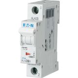 Miniature circuit breaker (MCB), 50 A, 1p, characteristic: C