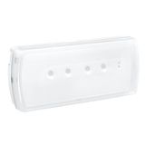 Emergency luminaire U21-autotest/address maintained/non maintained-200 lm-1h-LED