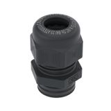 VTEC EX M20 SW  Cable gland EX, with long connection thread, M20, black Polyamide