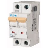 Miniature circuit breaker (MCB), 13 A, 2p, characteristic: D