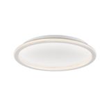 Ceiling Lamp White D:500 Arla