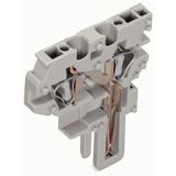 End module for 2-conductor female connector CAGE CLAMP® 4 mm² gray