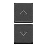 2 buttons Flat arrows symbol grey