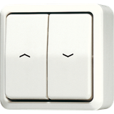 2-gang blind switch/push-button 10 AX 639VA