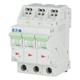Miniature circuit breaker (MCB) with plug-in terminal, 8 A, 3p, characteristic: D