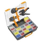Assortment box (assembled), PZ 6 Roto/CTI 6, STRIPAX, Colour code: DIN