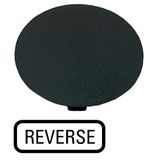 Button plate, mushroom black, REVERSE