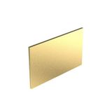 Art d'Arnould - 2 gang blanking plates Epure - Brushed Gold