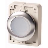 Illuminated pushbutton actuator, RMQ-Titan, flat, momentary, White, blank, Front ring stainless steel