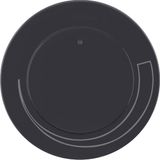 Centre plate for speed cont., setting knob, R.1/R.3, black glossy