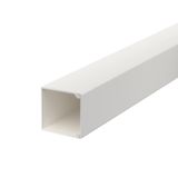 WDK25025RW Wall trunking system with base perforation 25x25x2000