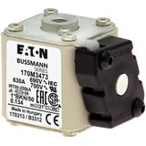 FUSE 250A 1250V 1*GKN/75 AR CU