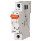 Miniature circuit breaker (MCB), 63 A, 1p, characteristic: B