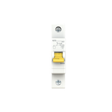 DG61+ C20 Miniature Circuit Breaker