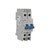 Breaker, Miniature, 30A, 2P, 480Y/277VAC, 96VDC