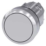 Pushbutton, 22 mm, round, metal, shiny, gray, pushbutton, flat momentary contact type, with laser labeling, lower case