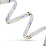 LED STRIP 20W 3528 60LED CW 1m (roll 5m) - without cover