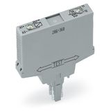 Relay module Nominal input voltage: 24 VDC 1 break contact gray
