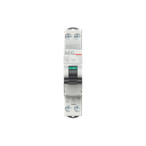 EPC62 B40 Miniature Circuit Breaker - 2P - B - 40 A