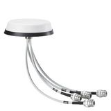 ANT897-5PN antenna for private 5G m...