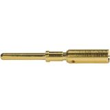 M12 Power Male PE Contact Crimp 1,5mm²