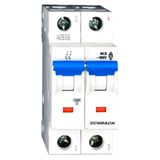 Miniature Circuit Breaker (MCB) B, 6A, 2-pole, 40ø C, 10kA