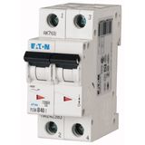 Miniature circuit breaker (MCB), 40 A, 2p, characteristic: C