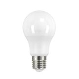 IQ-LED A60 5,5W-CW LED light source