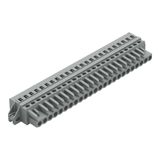 231-124/027-000 1-conductor female connector; CAGE CLAMP®; 2.5 mm²