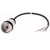 Pushbutton, Flat, momentary, 1 N/O, Cable (black) with non-terminated end, 4 pole, 1 m, Without button plate, Bezel: titanium