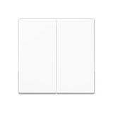 Centre plate for universal 2-gang dimmer A1565.07WW