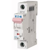 PL6-C8/1 Small circuit breaker, 6kA 1p (instead of 177389)