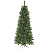 Christmas Tree Cembrini