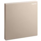 Galion - 1 gang blanking plate - Rose Gold