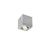 TRILEDO Single,  QPAR51, brushed aluminium, max 10W