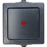 Control switch, NAUTIC, colour: anthraci