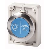 Pushbutton, RMQ-Titan, Flat, momentary, Blue, inscribed, Metal bezel