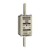 Fuse-link NH2 gG 690VAC 250A live tags Double indicator