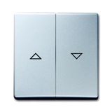 2126-33 CoverPlates (partly incl. Insert) carat® Aluminium silver