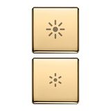 2 buttons Flat regulation symbol gold