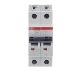 ST202M-Z4 Miniature Circuit Breaker - 2P - Z - 4 A