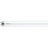 LED T8 1200mm 16W G13 CW 1CT/4