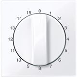 Central plate for timer insert 15 min, active white glossy, system M