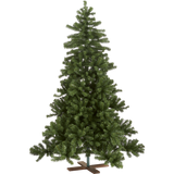 Christmas Tree Vidaby