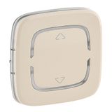 Cover plate Valena Allure - Up/Down symbol - 2 modules - ivory