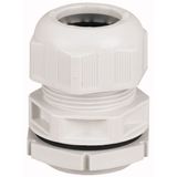 Cable gland, M20, RAL 7035, IP68